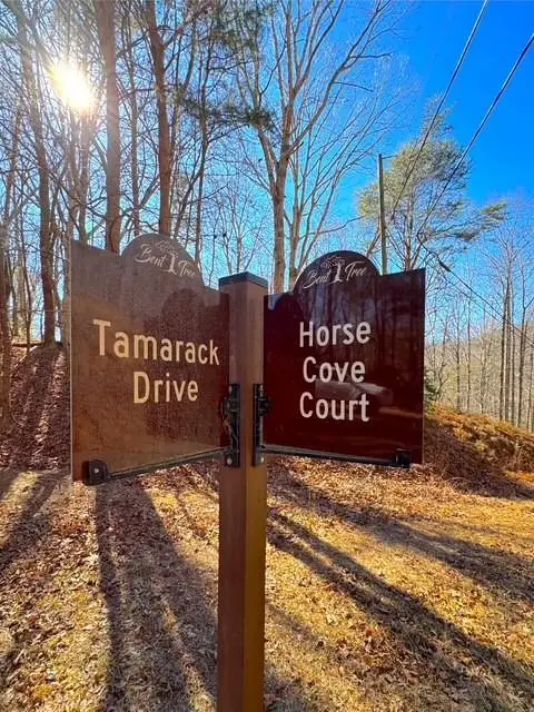 00 Horse Cove Court, Jasper, GA 30143 - #3