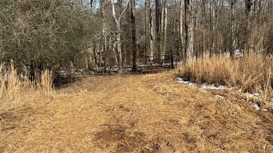 0000 Bailey Mill Rd Road, Gainesville, GA 30506 - #2