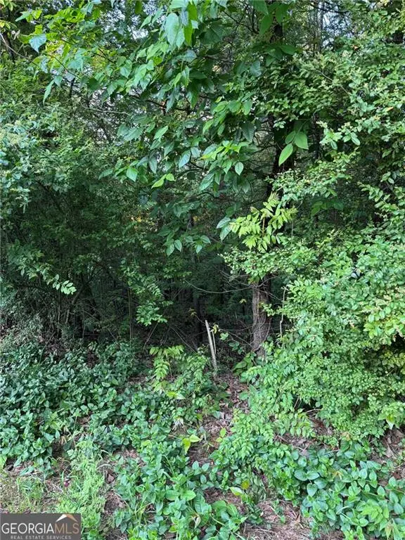 0 Wellington Way, Rome, GA 30161 - #2