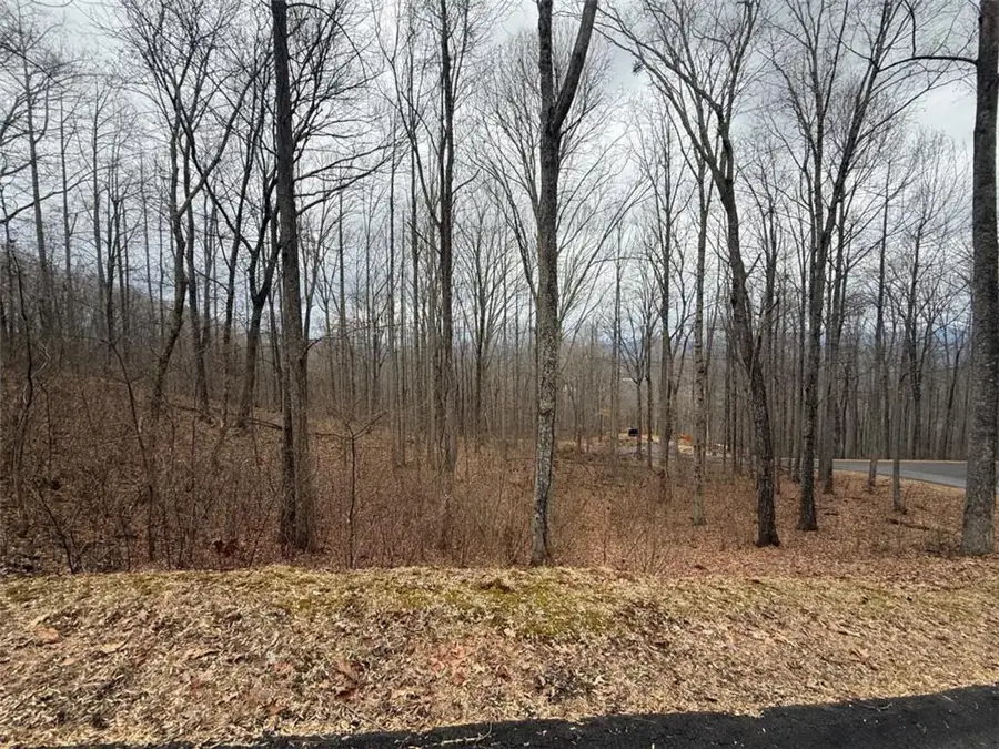 LOT 7 Rocky Knob Drive, Young Harris, GA 30582 - #2