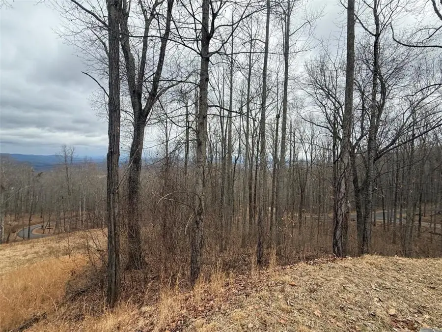 LOT 7 Rocky Knob Drive, Young Harris, GA 30582 - #3