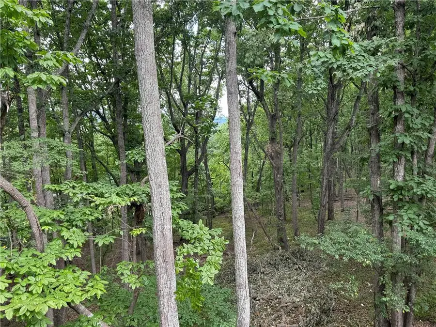 2595 Highland Pointe Drive, Cumming, GA 30041 - #2