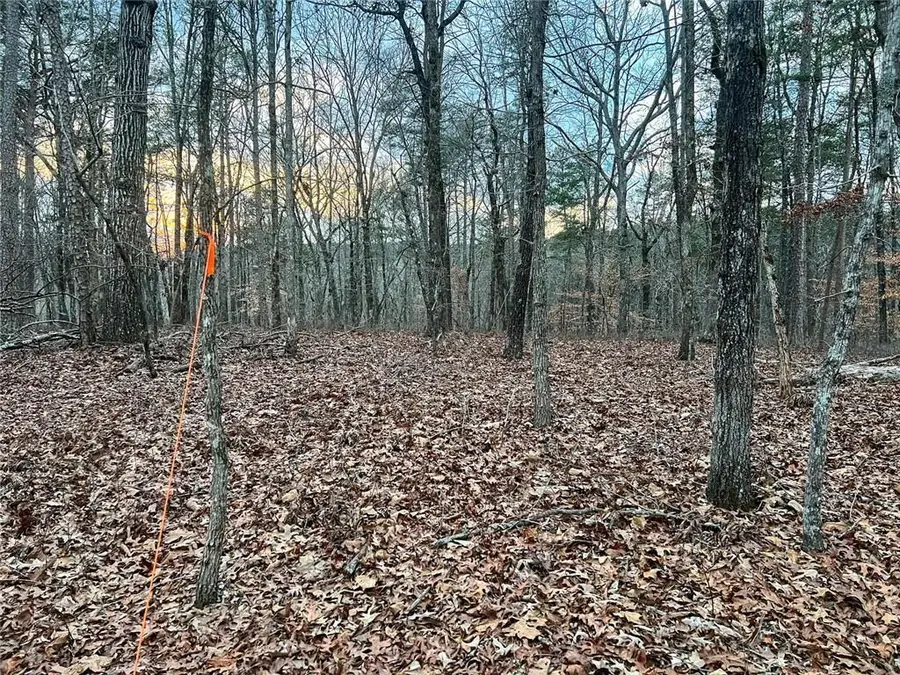 0 Kelly Bridge Road, Dawsonville, GA 30504 - #3