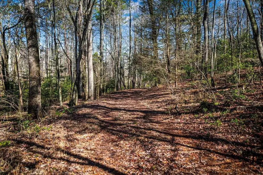 TRCT B Captains Cove, Blairsville, GA 30512 - #3