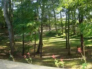 6965 Flowery Branch Road, Cumming, GA 30041 - #3