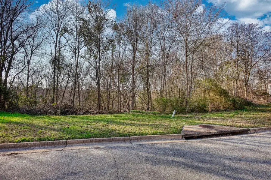 9135 Golfview Lane, Covington, GA 30014 - #3