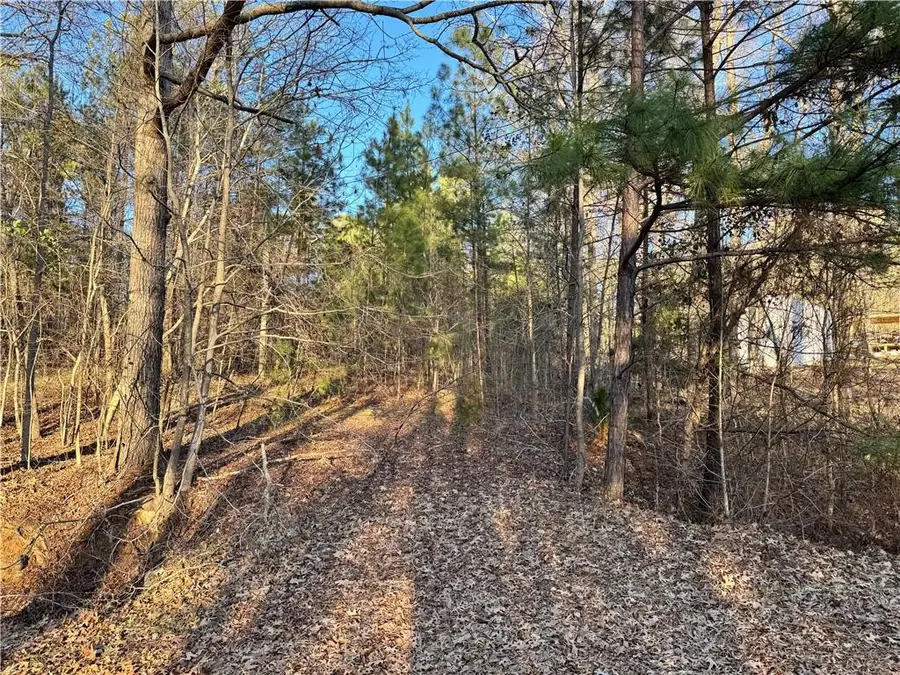 104 N Little River Run, Eatonton, GA 31024 - #2