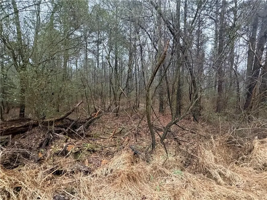 0 Dry Creek/edwards Road, Cedartown, GA 30125 - #3