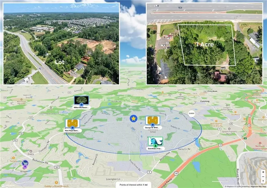 3815 Castleberry Road, Cumming, GA 30040 - #2