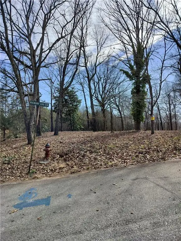 0 Hickory Log Circle, Eastanollee, GA 30538 - #2