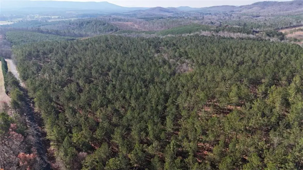 32 ACR Tract 14, Lyerly, GA 30730 - #1