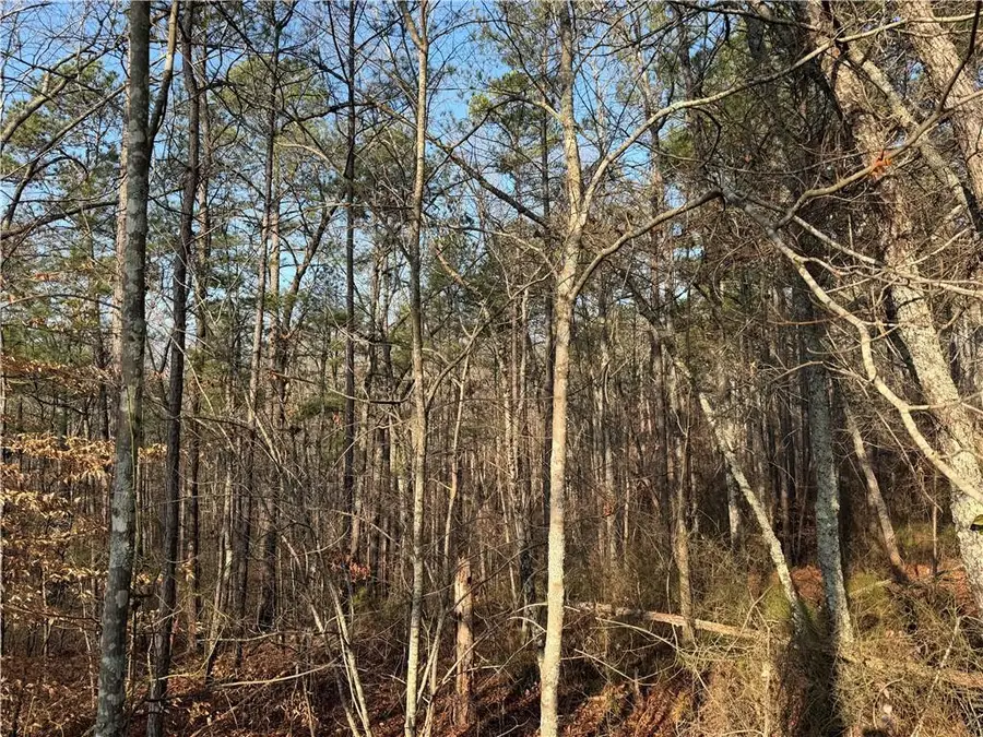 0 Lower Sweetwater Road, Canton, GA 30114 - #2