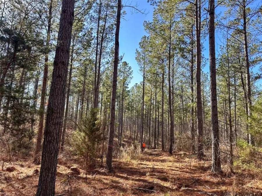 0 Gaylor Road, Lyerly, GA 30730 - #2