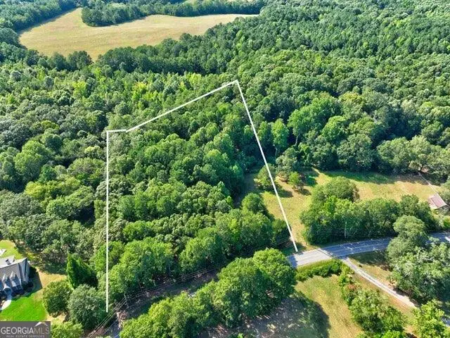 0 New Hope Church Road, Loganville, GA 30052 - #3