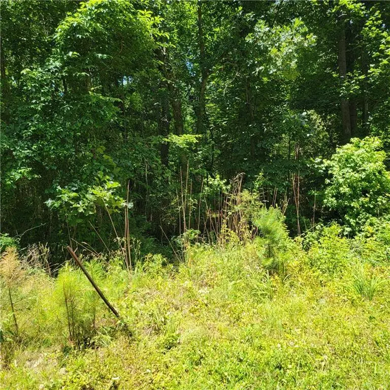 0 Spring Hill Drive, Covington, GA 30016 - #1
