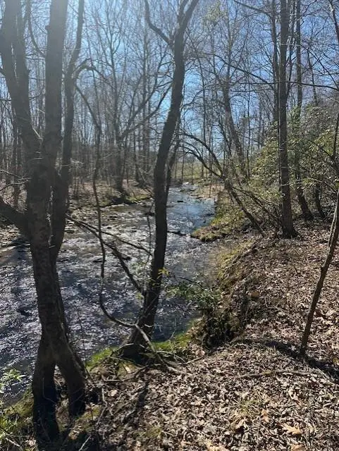 0 Lot 16 Bravo Way, Talking Rock, GA 30175 - #2