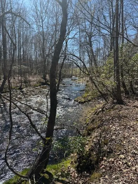 0 Lot 16 Bravo Way, Talking Rock, GA 30175 - #3