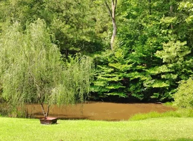 257 Shellhorse Road Se, Ranger, GA 30734 - #3