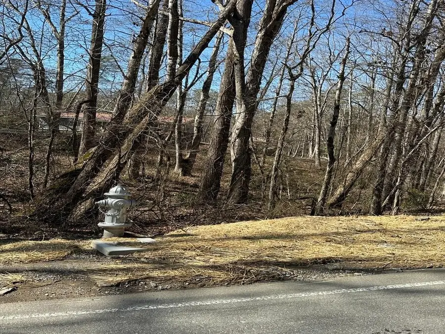 LT 167 Henderson Mountain Road, Jasper, GA 30143 - #2