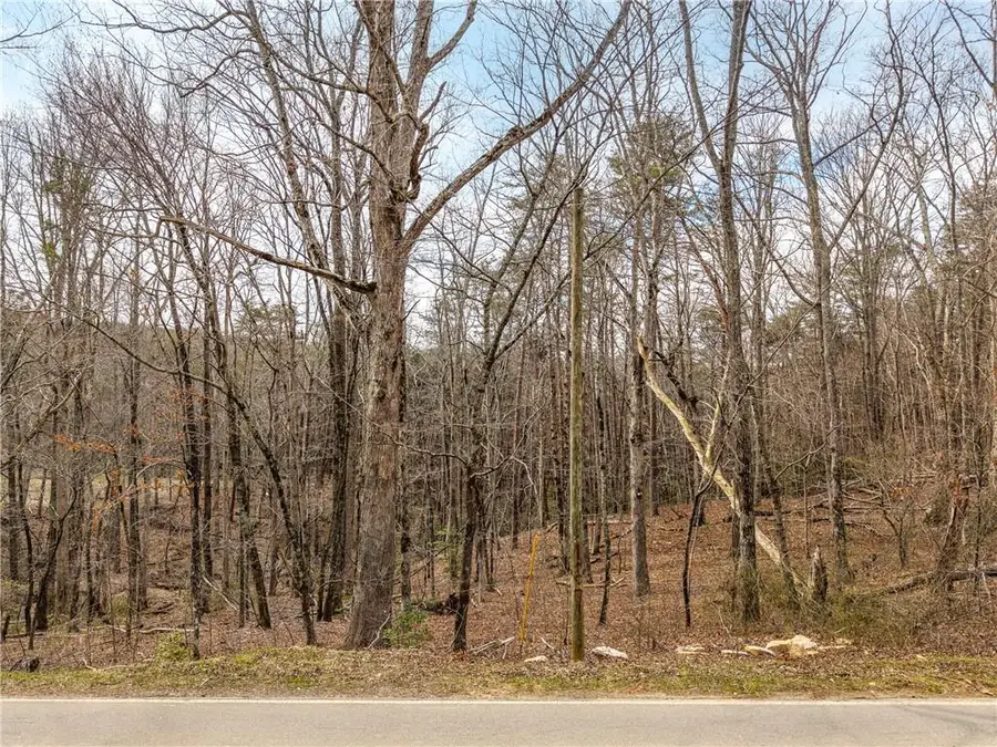 LT 167 Henderson Mountain Road, Jasper, GA 30143 - #3