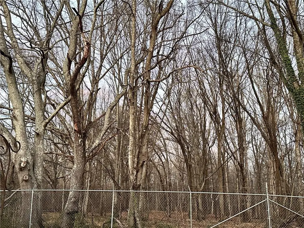 2420 Rock Springs Rd, Buford, GA 30519 - #1