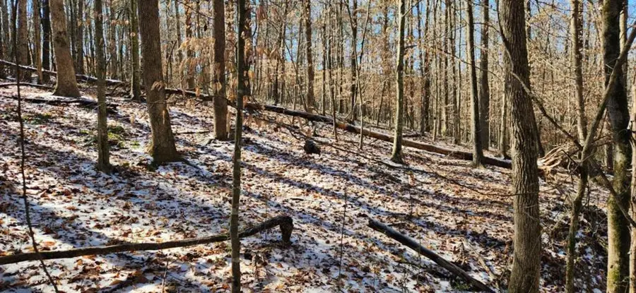 5500 Brookton Lula Road, Gainesville, GA 30506 - #2