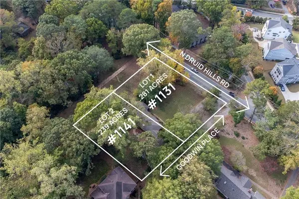 1141 Goodwin Place Ne, Brookhaven, GA 30319