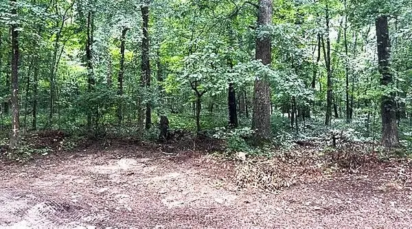 3871 Martin Drive, Ellenwood, GA 30294