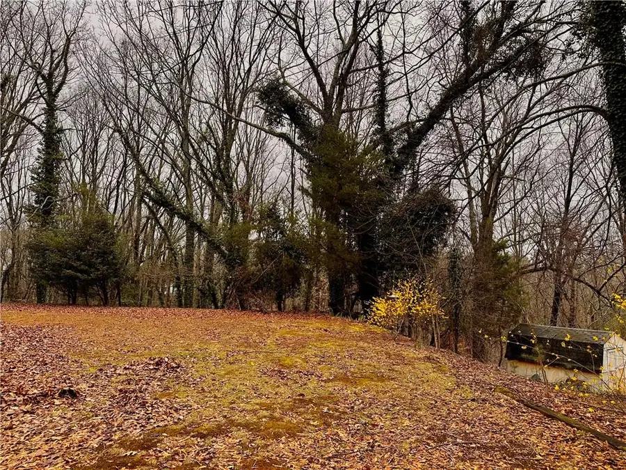 2598 White Sulphur Road, Gainesville, GA 30501 - #3