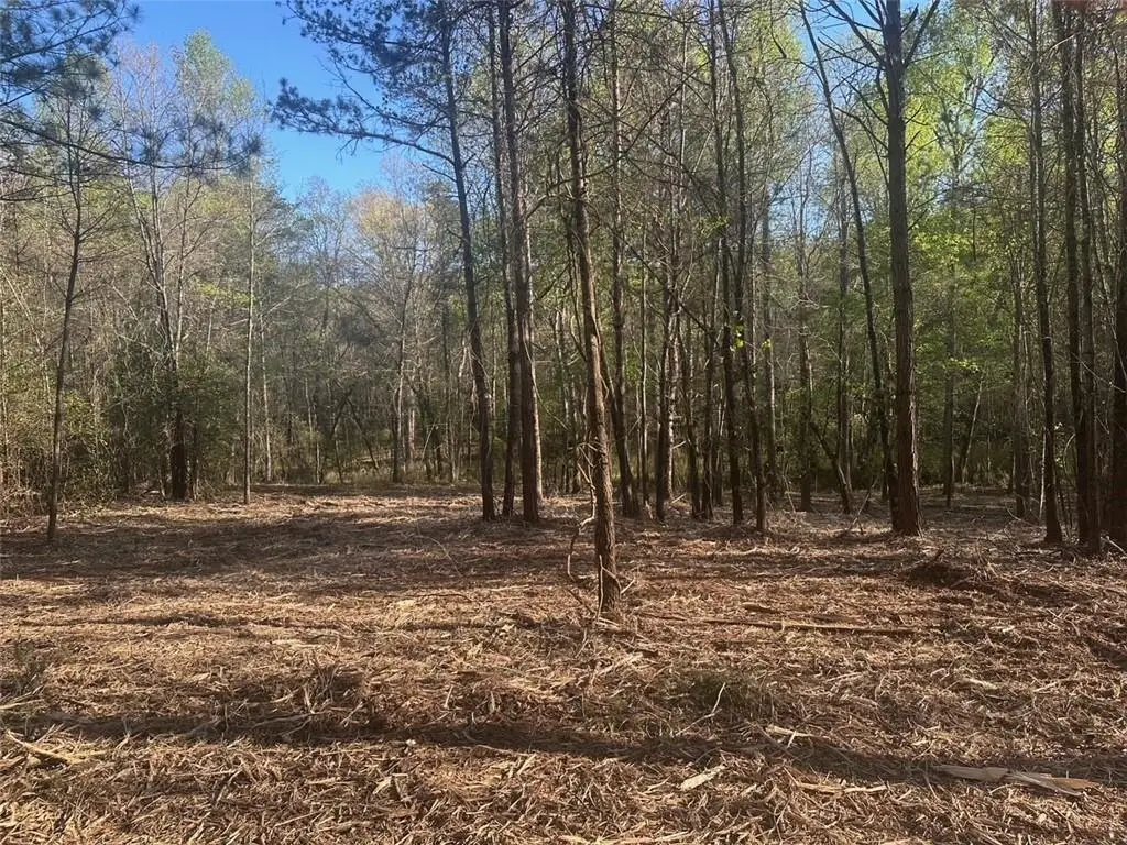 00 Lee Mashburn Road, Dahlonega, GA 30533 - #1