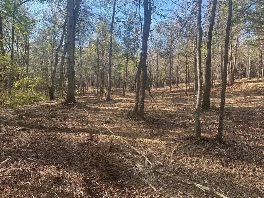 00 Lee Mashburn Road, Dahlonega, GA 30533 - #2
