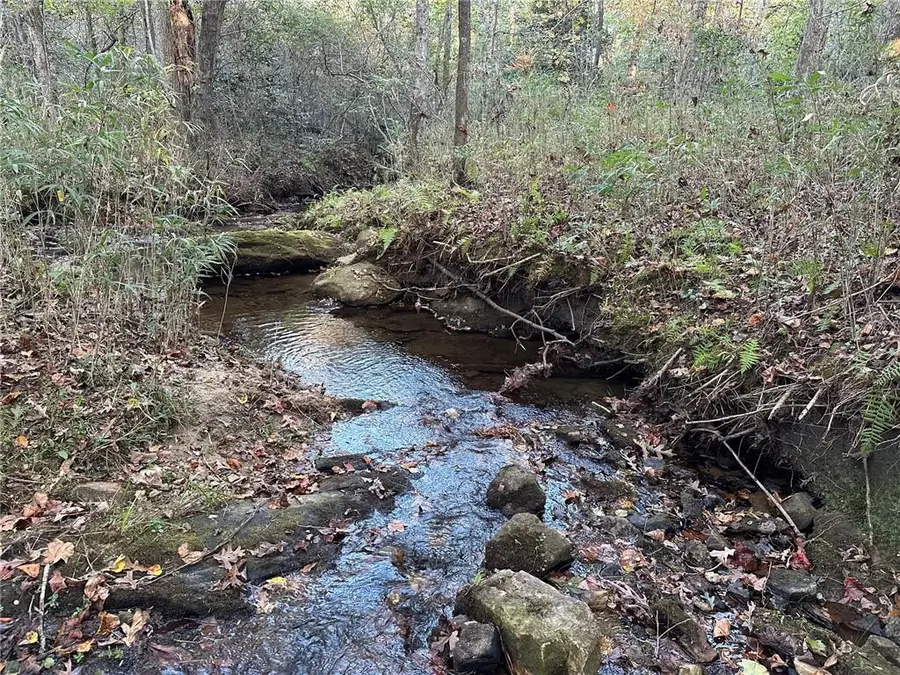 00 Lee Mashburn Road, Dahlonega, GA 30533 - #3