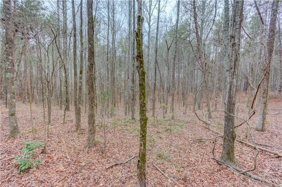 0 Sunshine Road, Toccoa, GA 30577 - #2