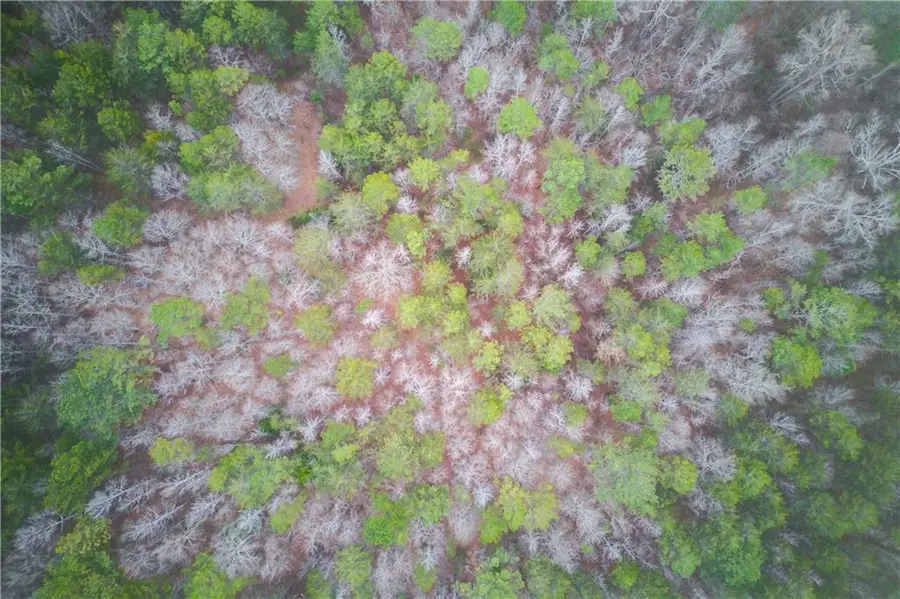 0 Sunshine Road, Toccoa, GA 30577 - #3