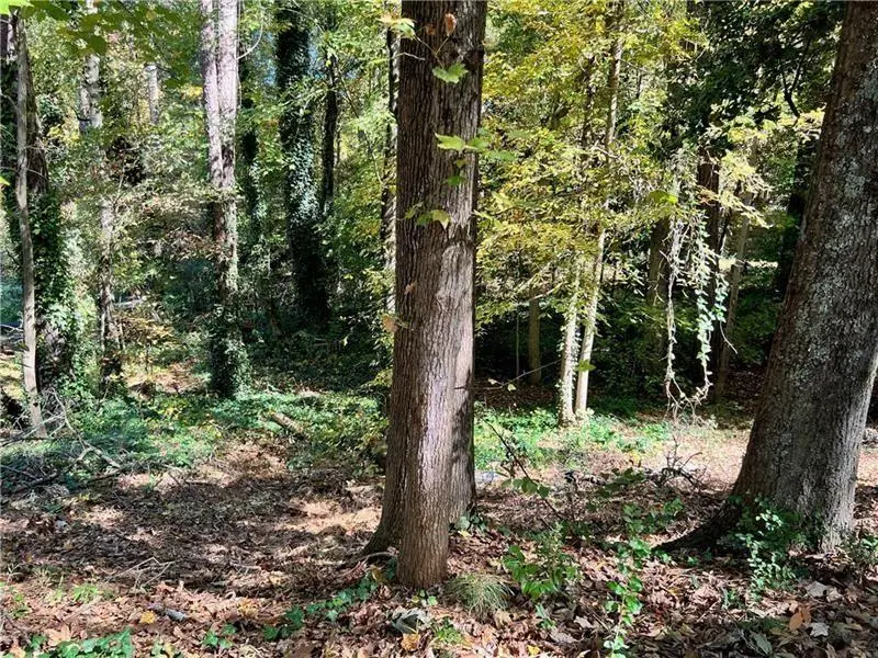 0 Randolph Circle, Kennesaw, GA 30144 - #2