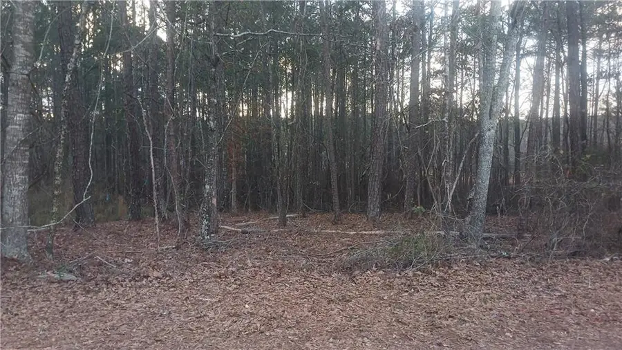 90 Harville Road, Covington, GA 30016 - #3