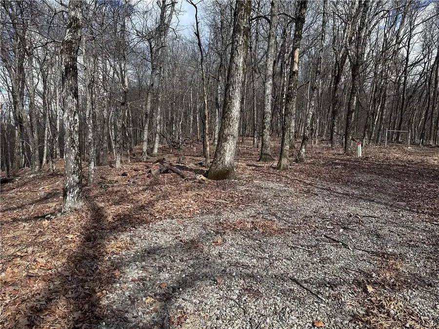 Trct C Old A T Approach Trail, Jasper, GA 30143 - #2