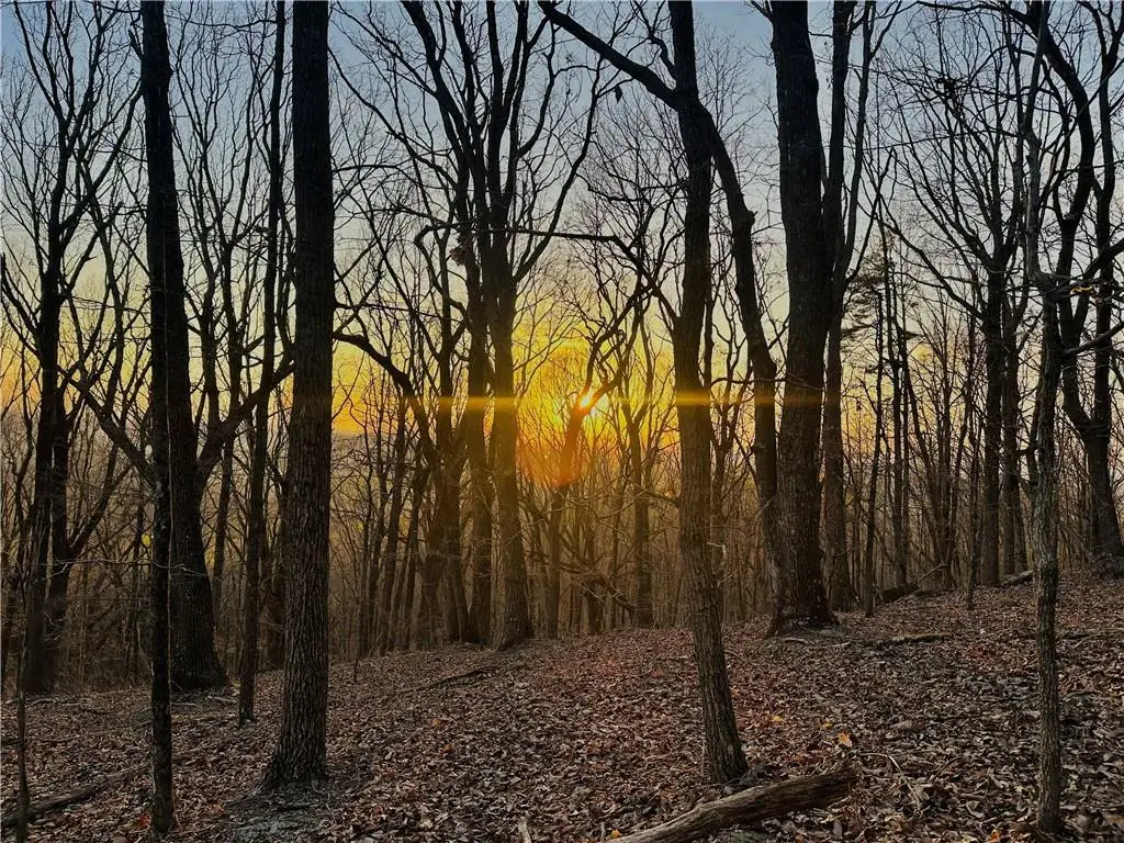 Lot 1 Mount Mincie Road, Murrayville, GA 30564 - #1