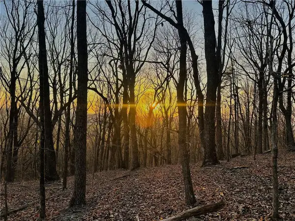 Lot 1 Mount Mincie Road, Murrayville, GA 30564