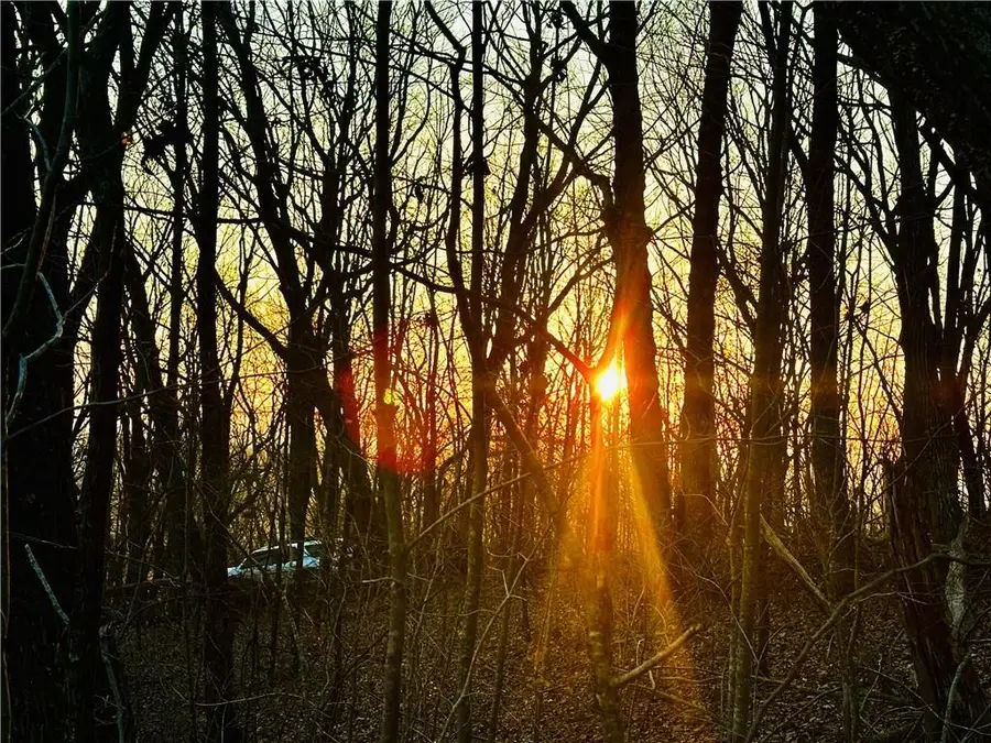 Lot 1 Mount Mincie Road, Murrayville, GA 30564 - #2