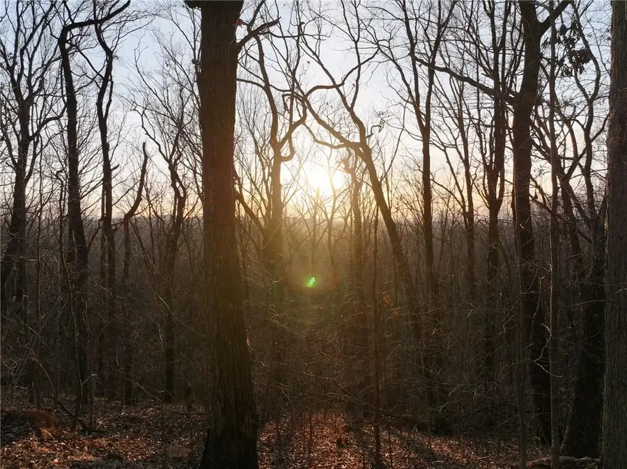 Lot 3 Mount Mincie Road, Murrayville, GA 30564 - #3