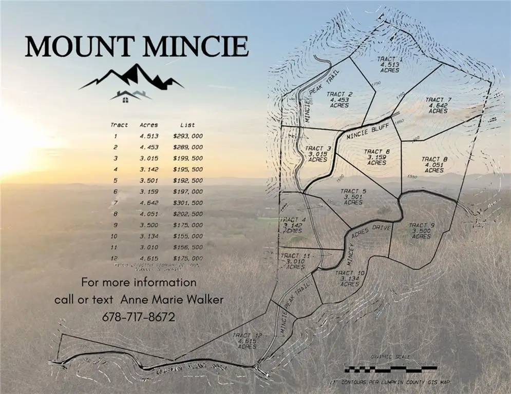 Lot 5 Mount Mincie Road, Murrayville, GA 30564 - #1