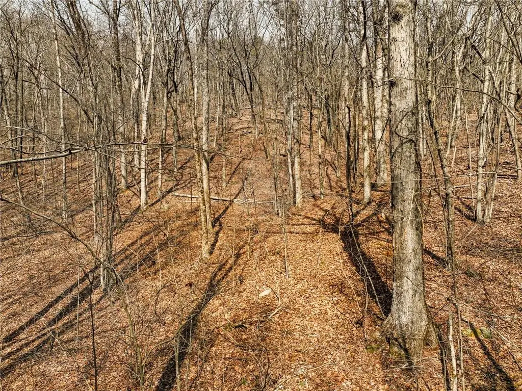 Lot 6 Mount Mincie Road, Murrayville, GA 30564 - #1