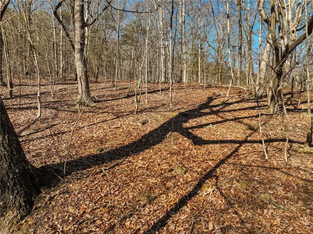 Lot 8 Mount Mincie Road, Murrayville, GA 30564 - #1