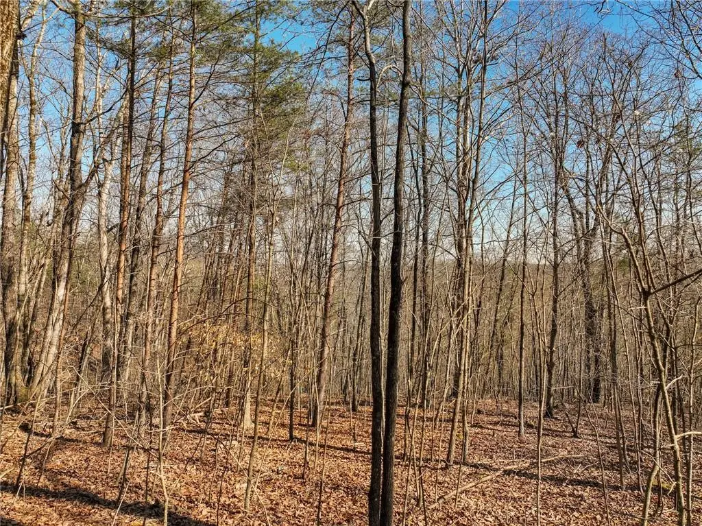 Lot 9 Mount Mincie Road, Murrayville, GA 30564 - #1