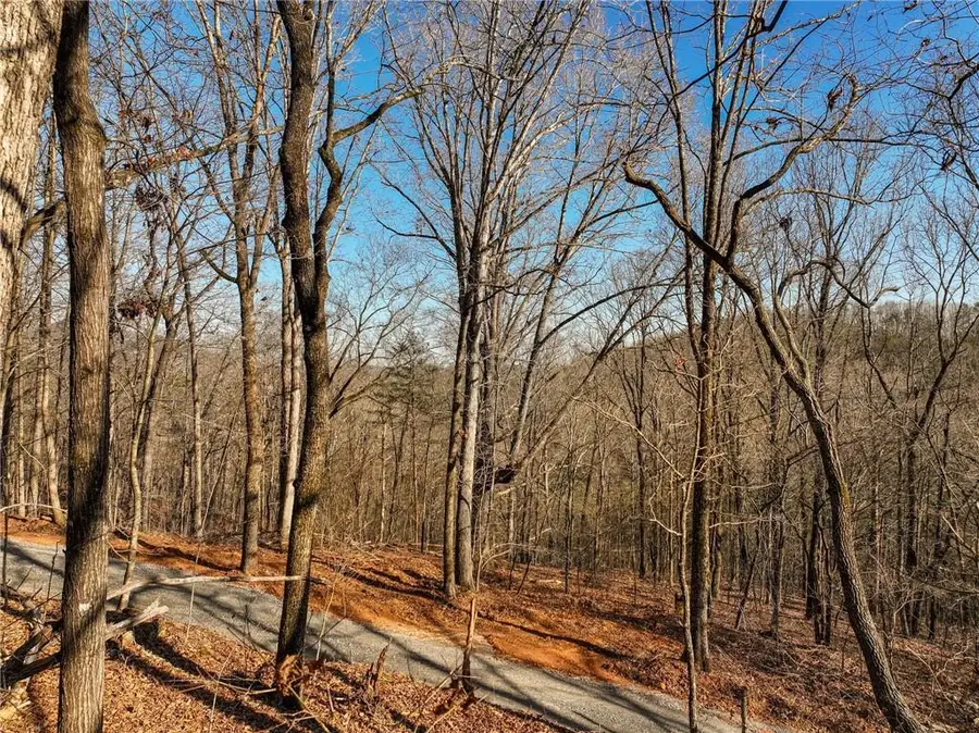 Lot 11 Mount Mincie Road, Murrayville, GA 30564 - #3