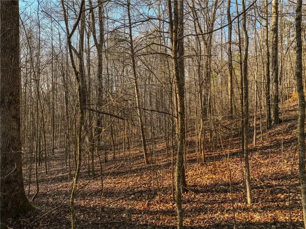 Lot 12 Mount Mincie Road, Murrayville, GA 30564 - #1