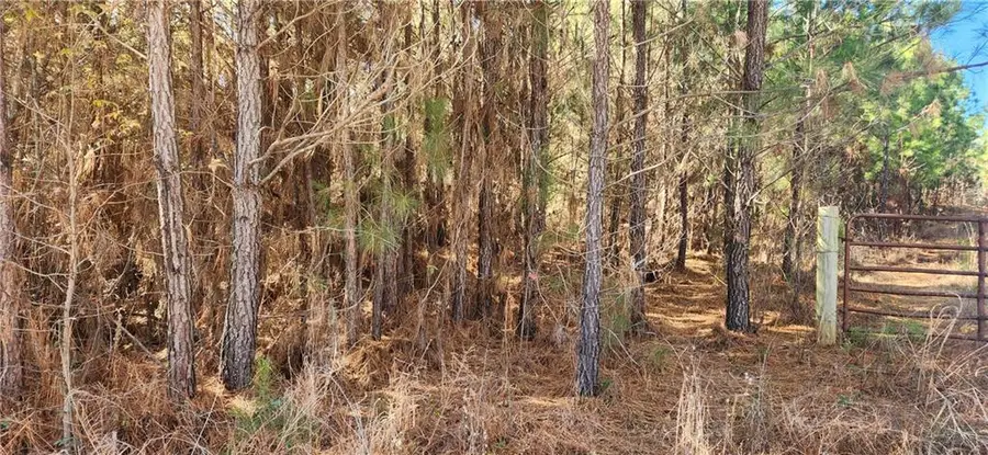 0 Jaudon Road, Elberton, GA 30635 - #2