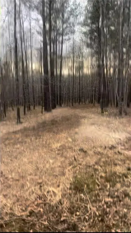 166 Lake Crest Drive, Sparta, GA 31087