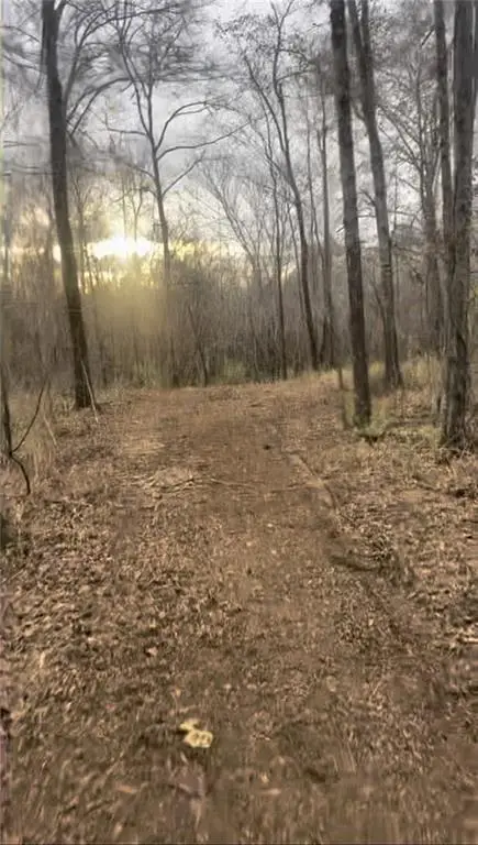 166 Lake Crest Drive, Sparta, GA 31087 - #2